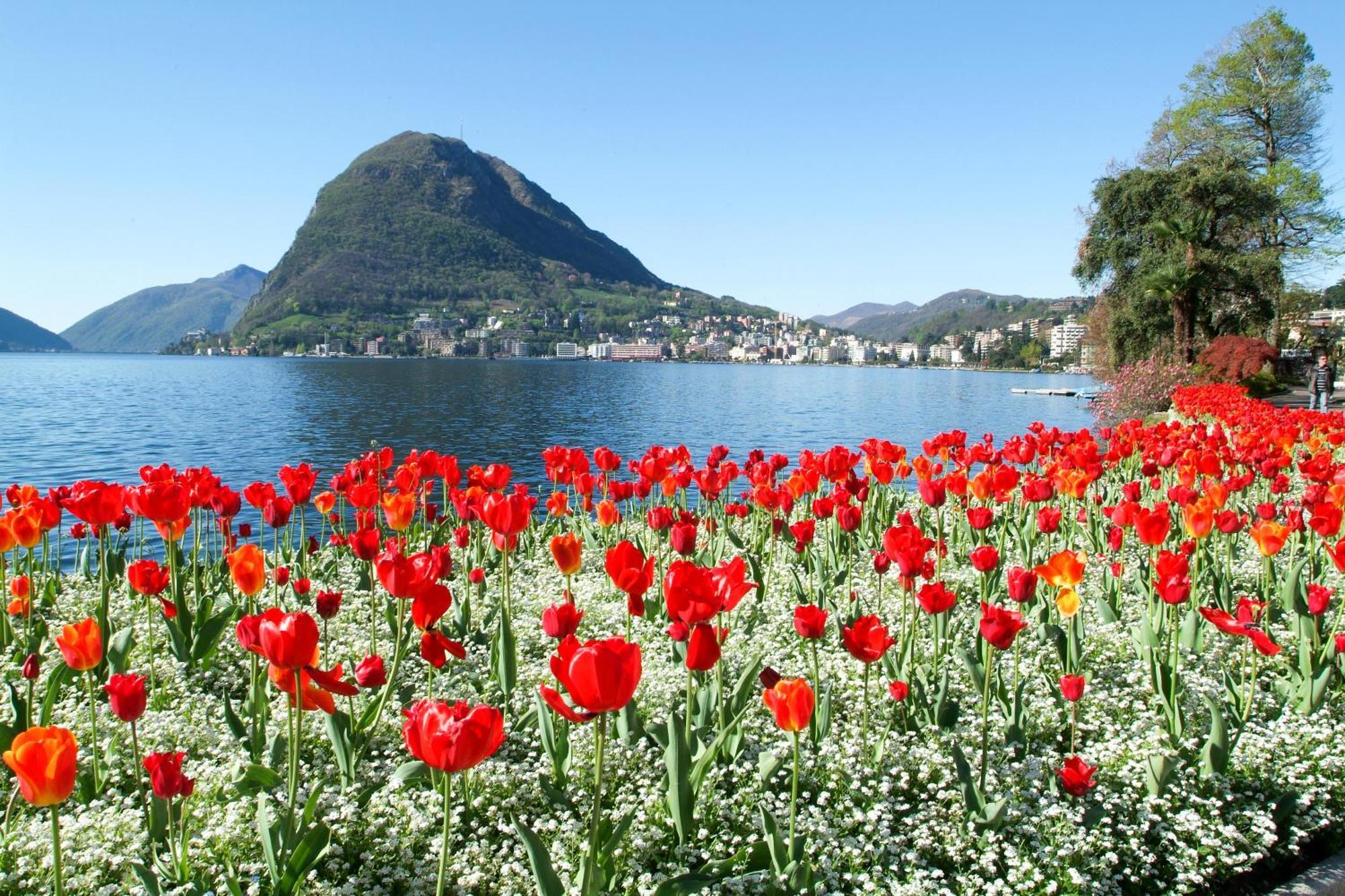 Little Lugano - Happy Rentals Exteriér fotografie